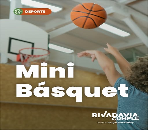 mini basquet 1