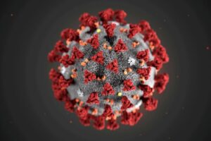 coronavirus celula