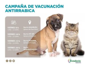 vacunacion perros 2