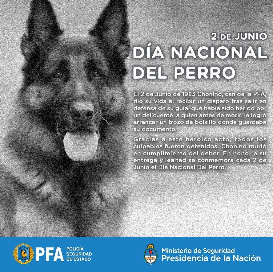 Chonino