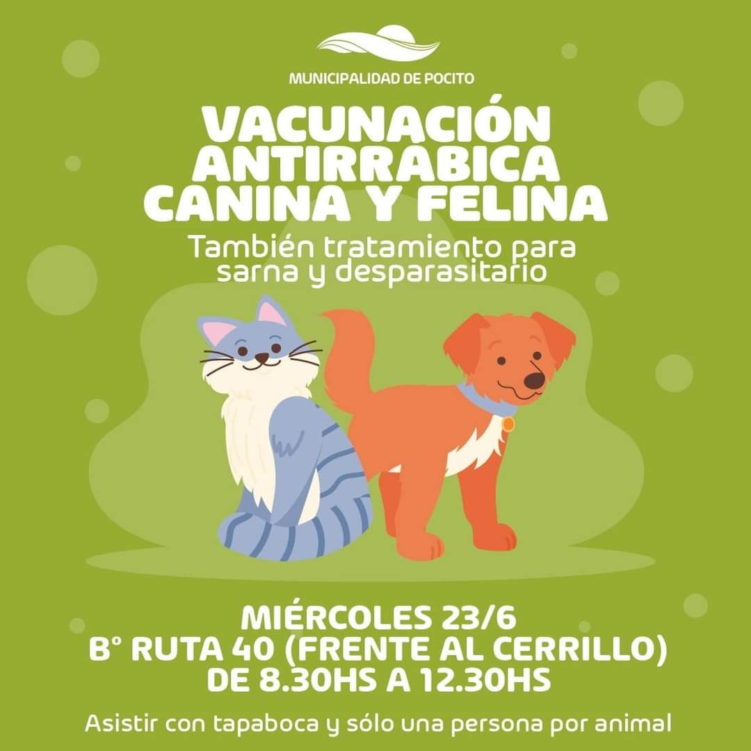 antirrabica pocito