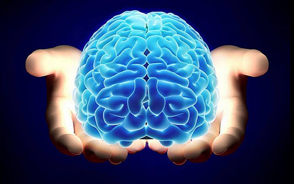 cerebro