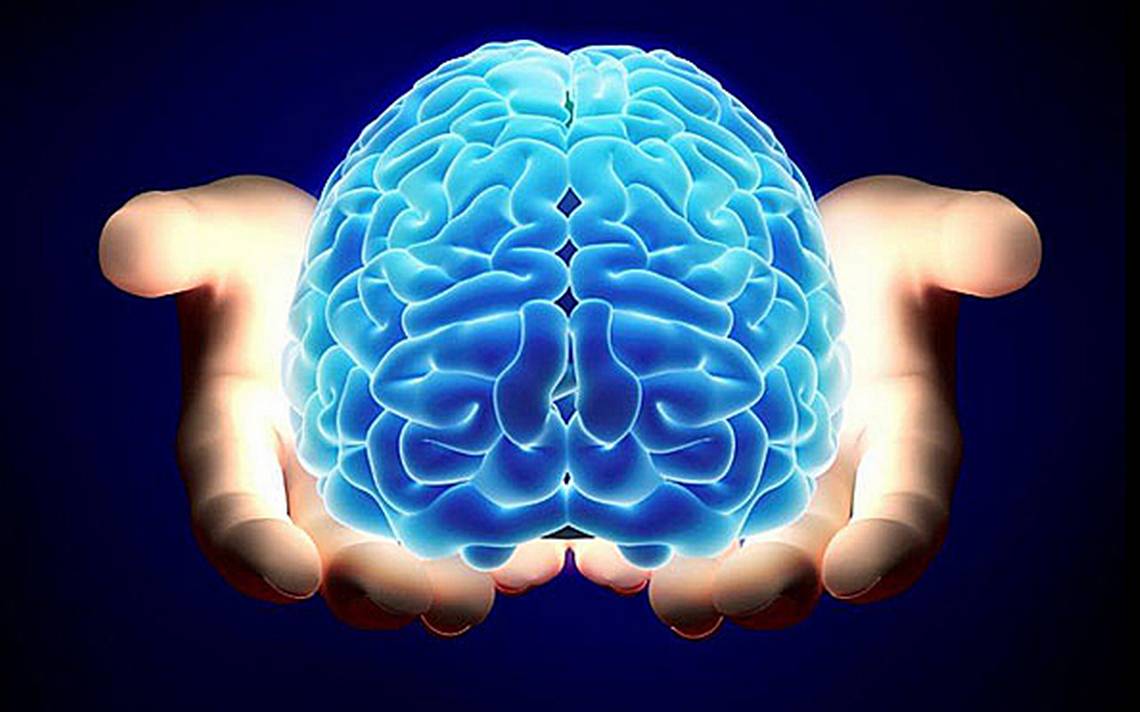 cerebro
