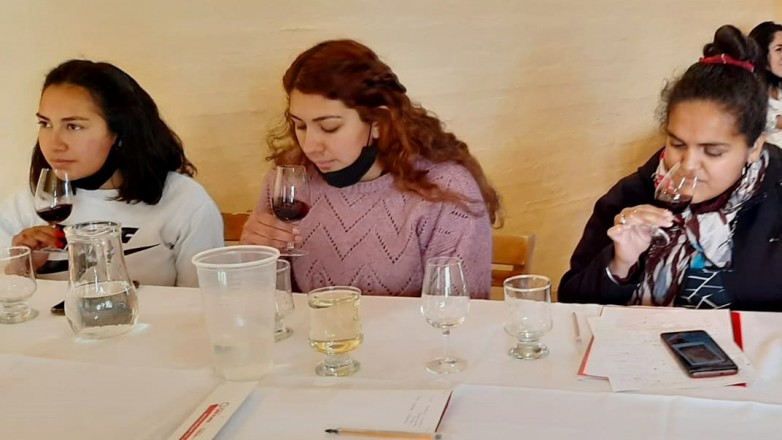 PRIMER TALLER INTRODUCCION AL VINO