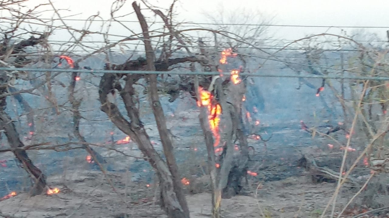 incendio magnitud