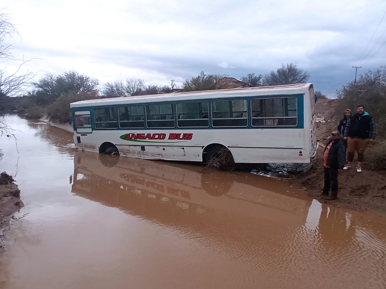 COLECTIVO 2