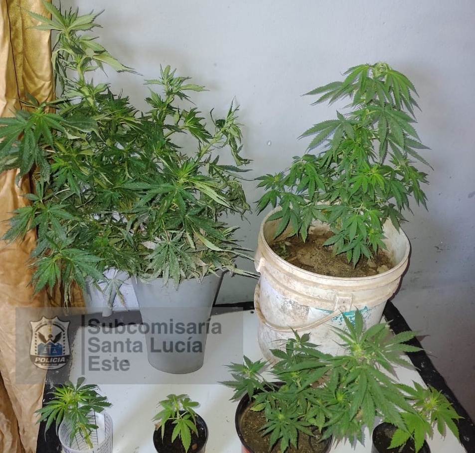 POLICIA