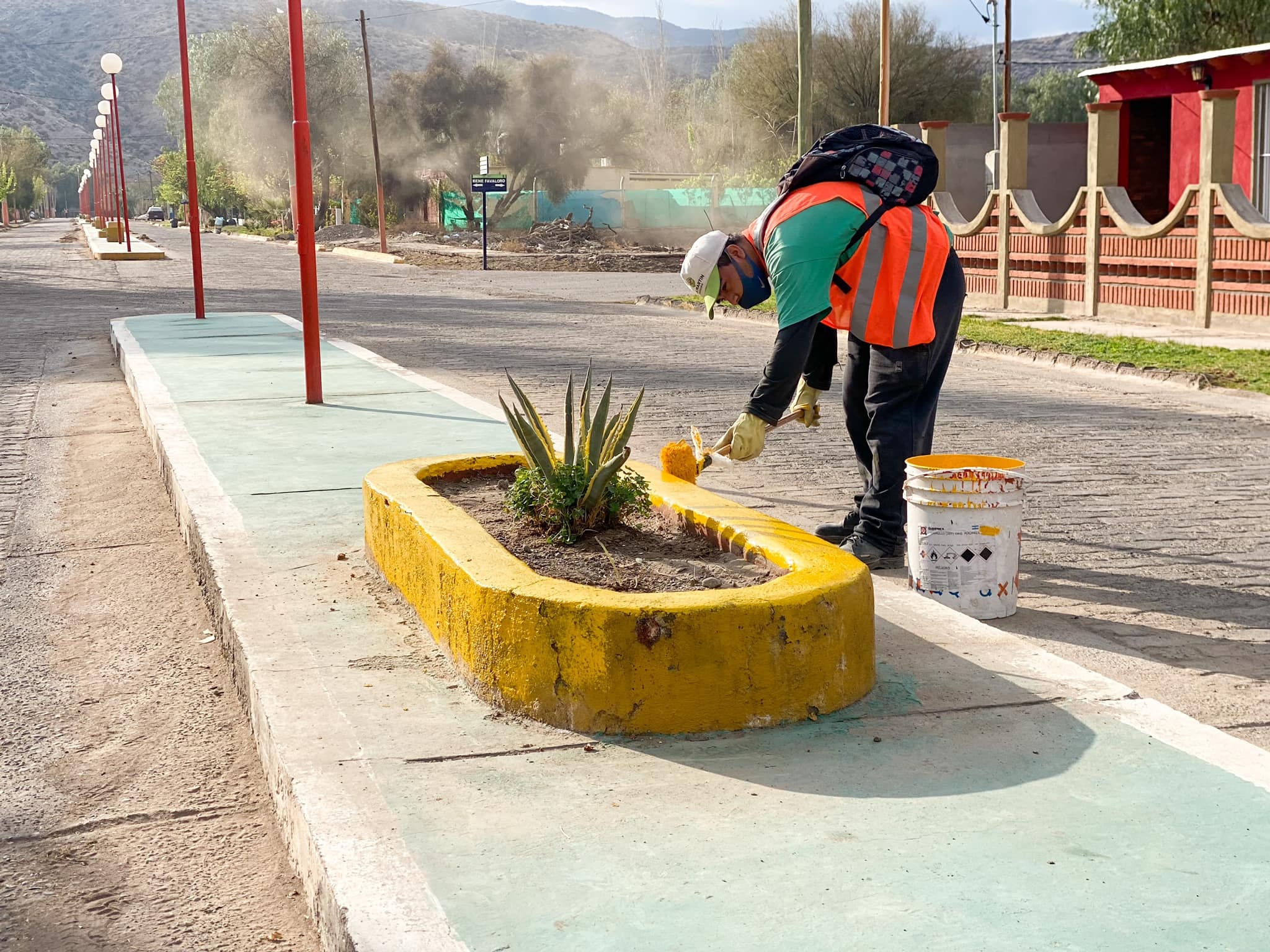 plantas san martin