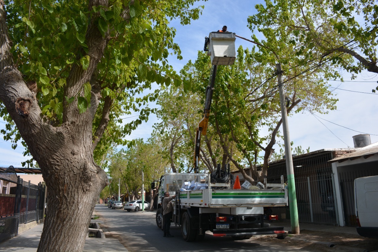 rivadavia