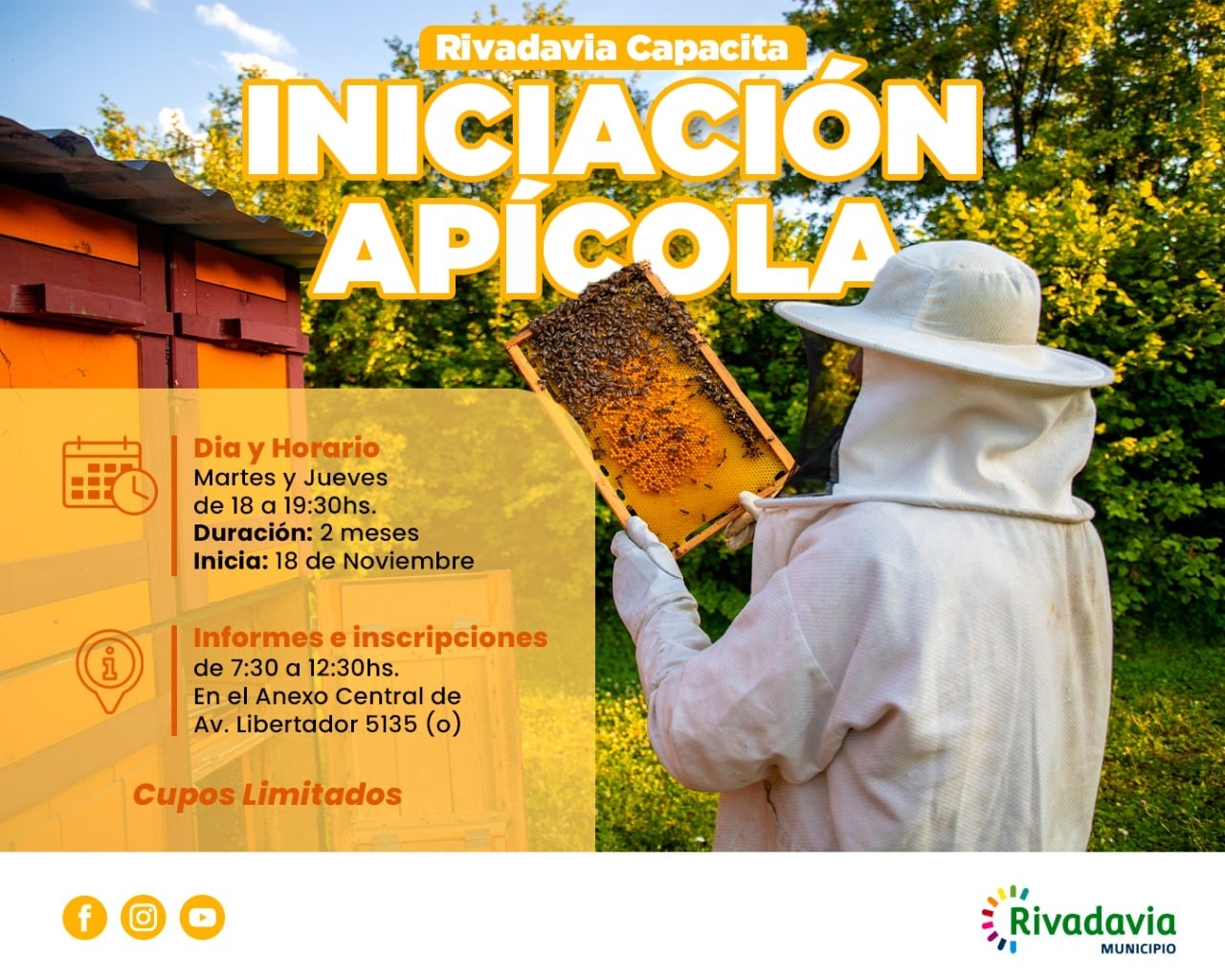 APICOLA