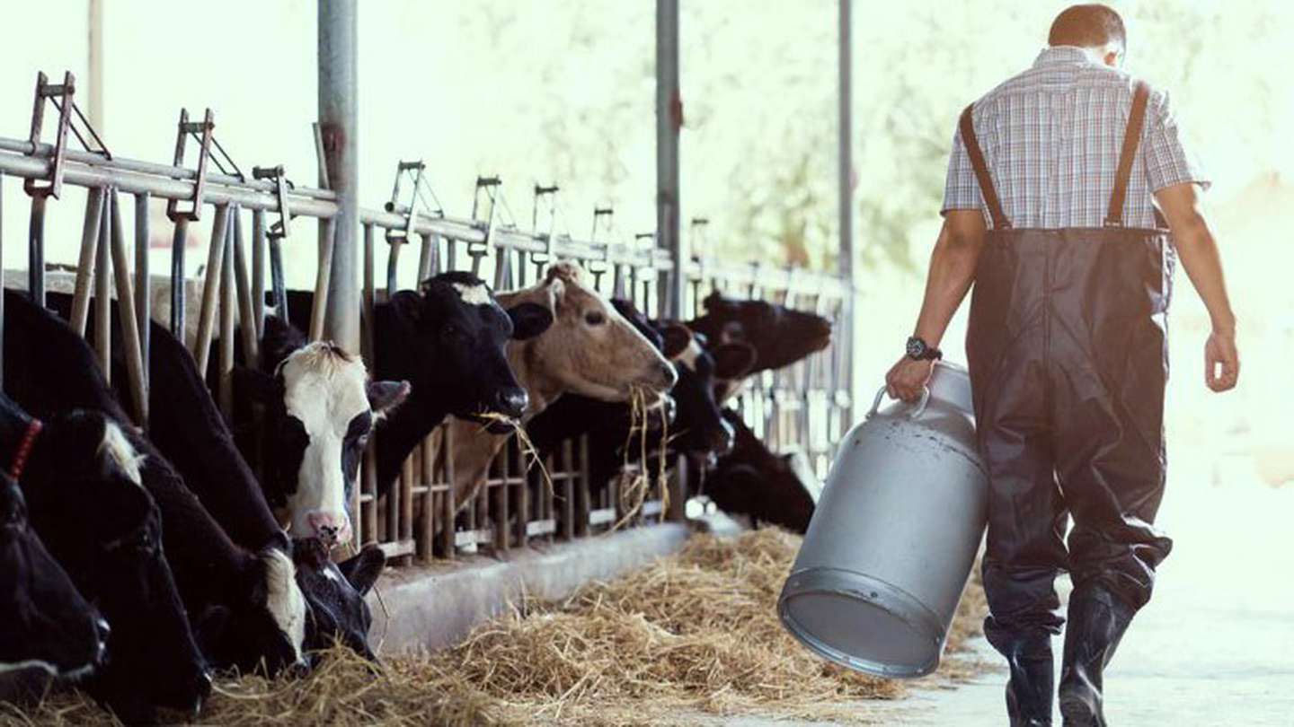 dia del tambero