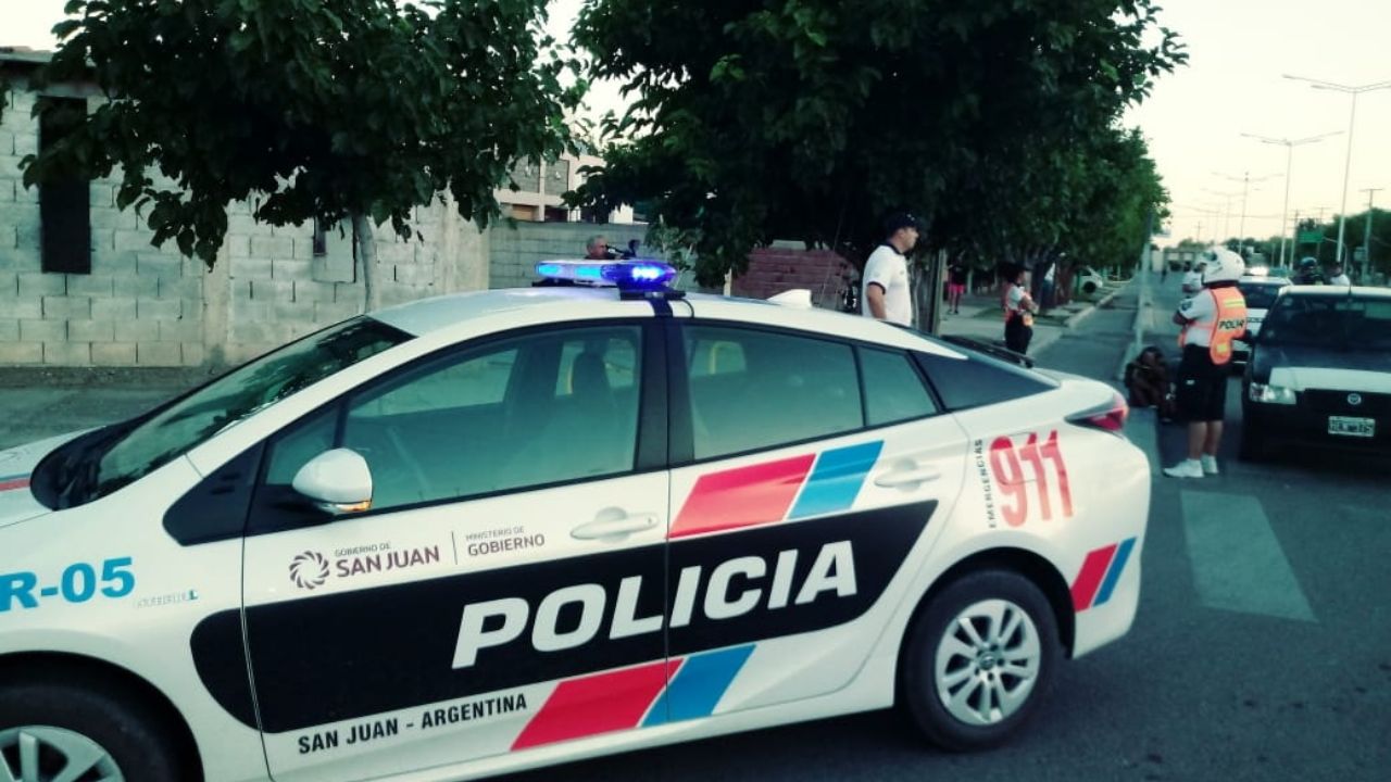 policia 3
