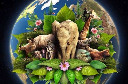 elefante animales