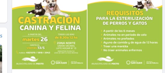pocito mascotas