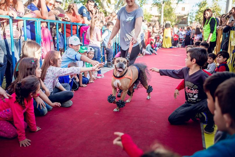 DESFILE