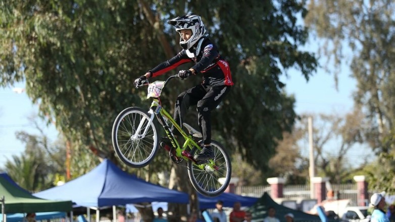 bmxx