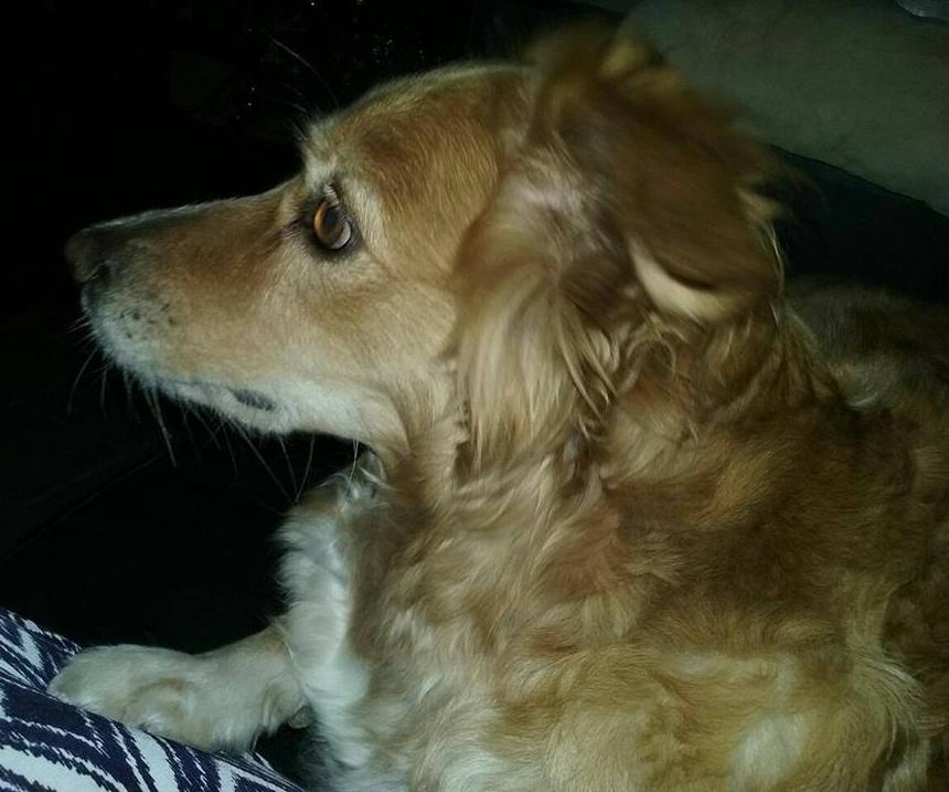 plur bella tres recortada