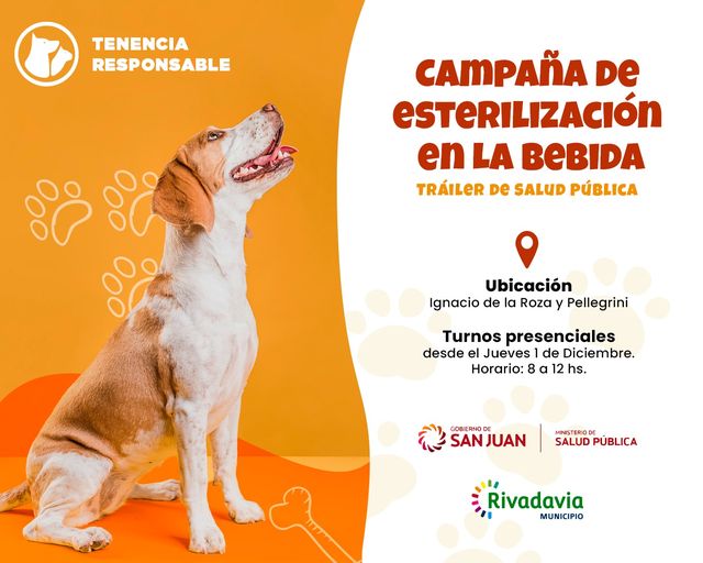 esterilizacion mascotas