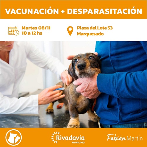 vacunacion 8 de nov