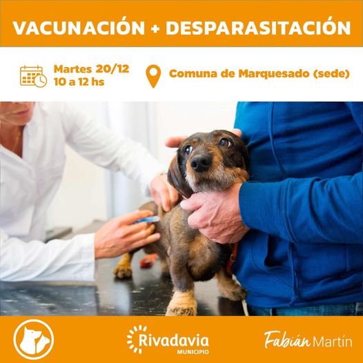 VACUNACION Y DESPARATIZACION