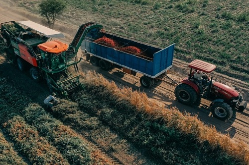 campo tractor