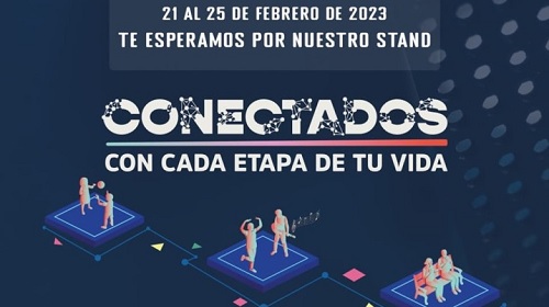 stand desarrollo