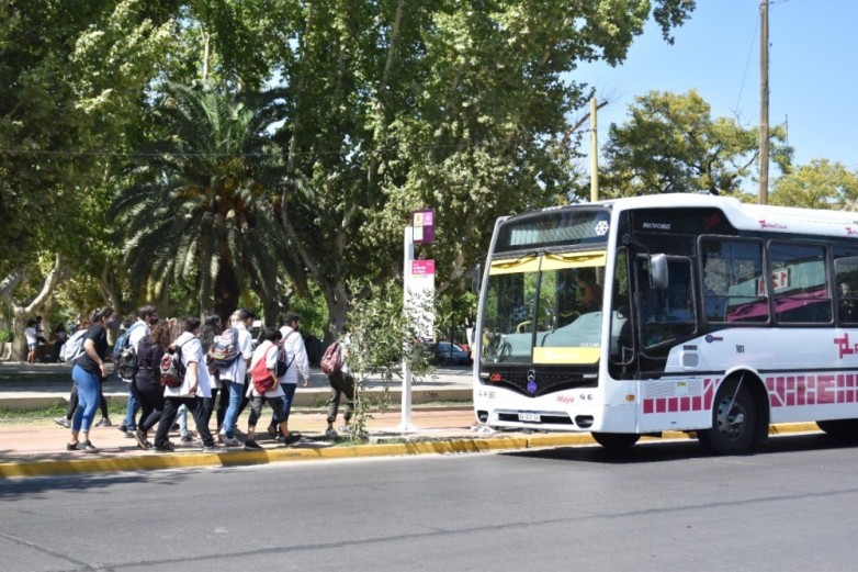 estudiantil