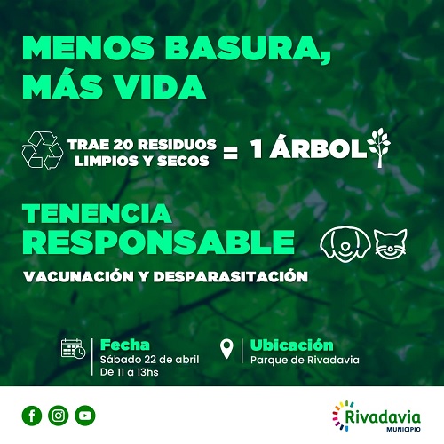 canje arbol