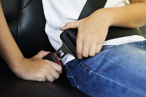 cinturon de seguridad