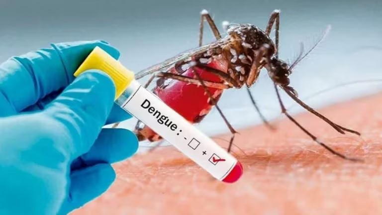 dengue vacuna mosquito