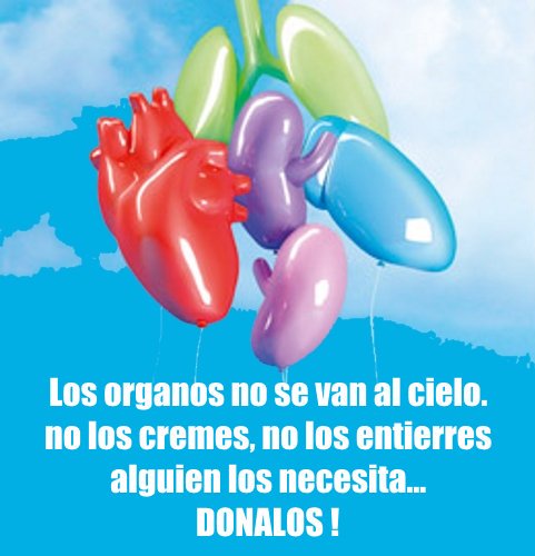 organos no van al cielo