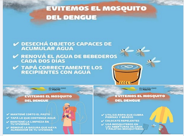 cronograma dengue