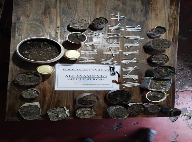 marihuana 8