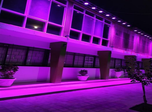 pocito violeta