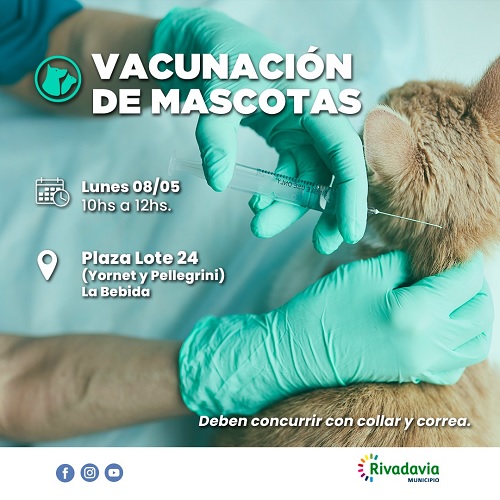 vacunacion mascotas