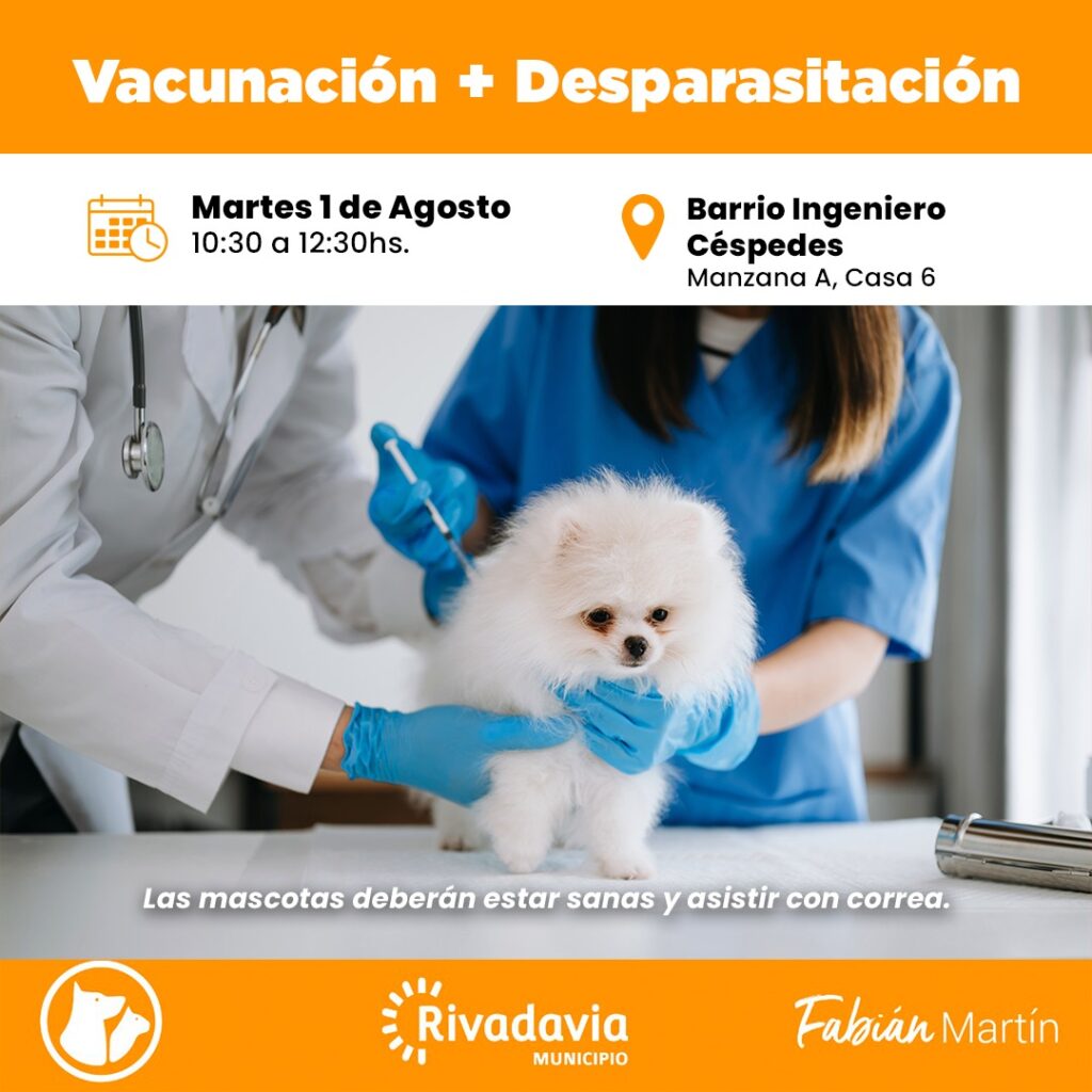 Imagen-de-WhatsApp-2023-07-31-a-las-10.40.05