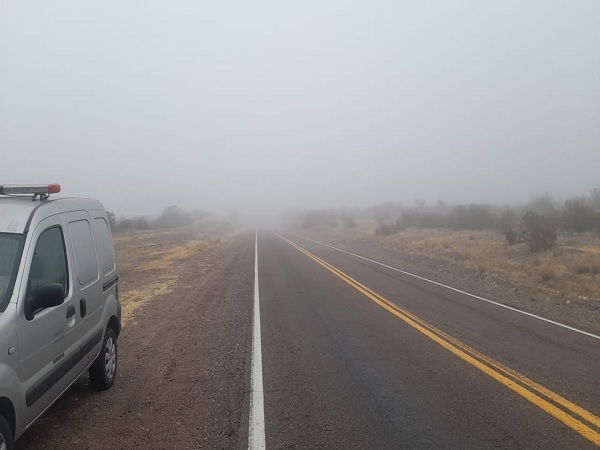 Jachal neblina