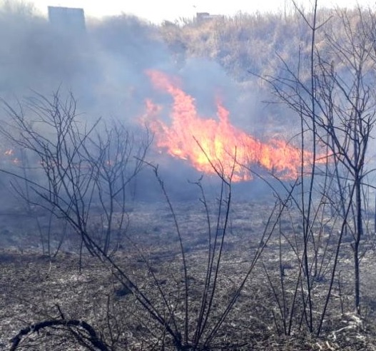incendio pastizales