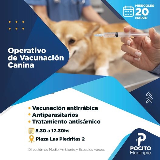 operativo canino