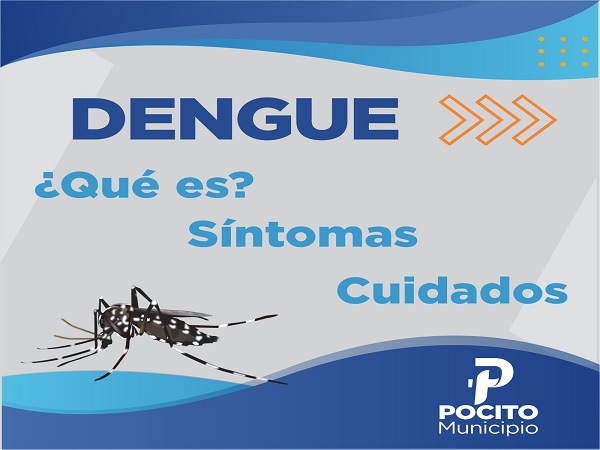 poc dengue