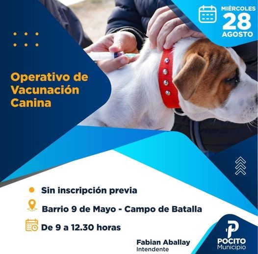 canina 28 de agosto