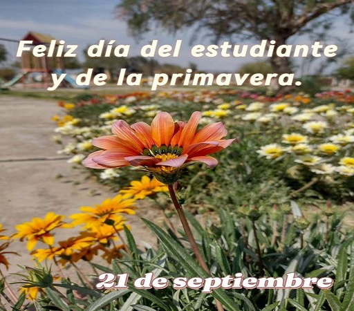 dia del estudiante sanma