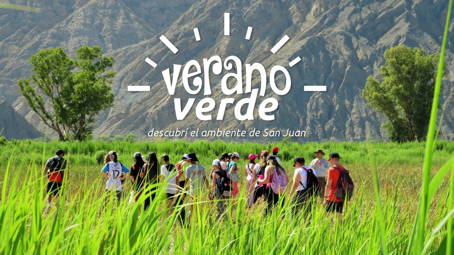 verano verde