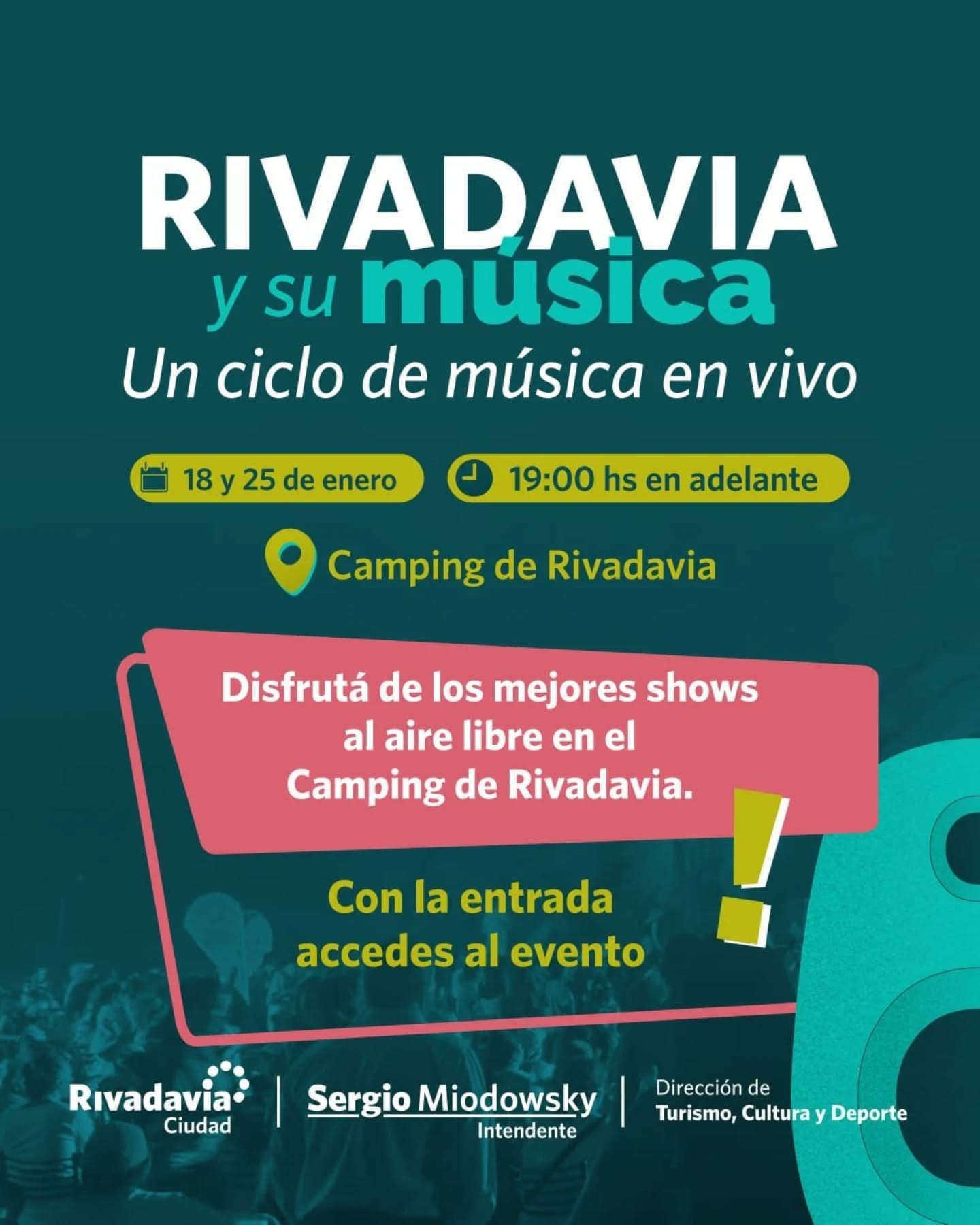 musica vivo