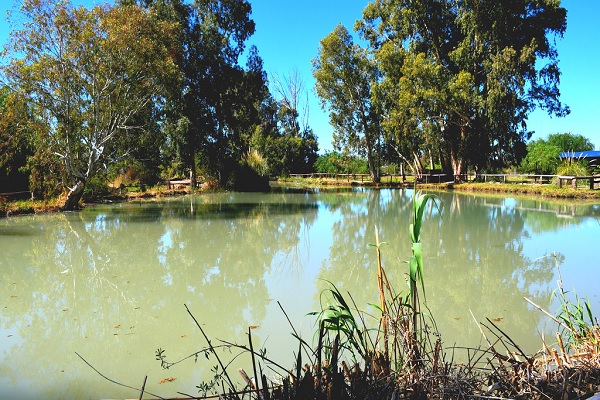 parque sarmiento