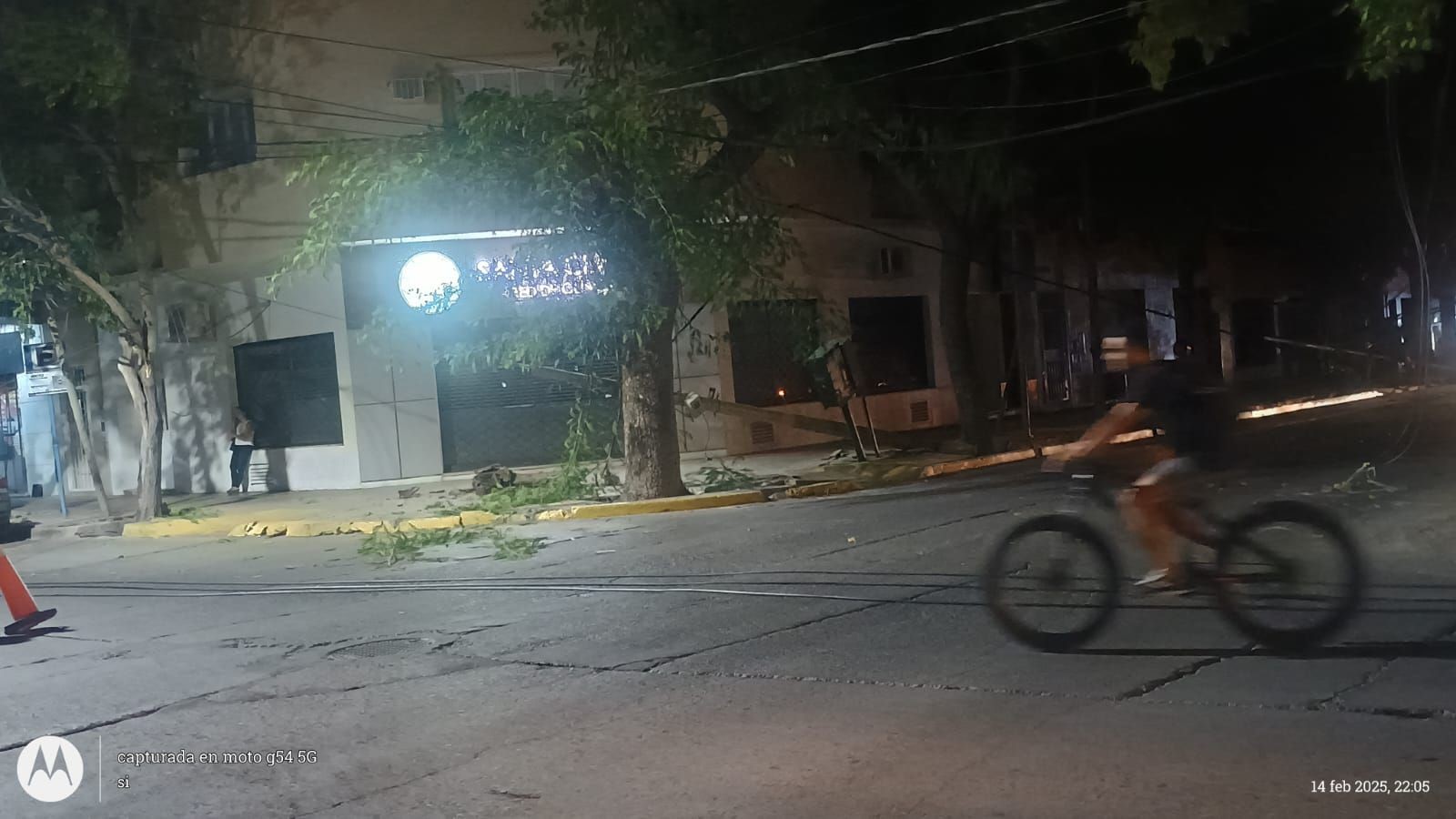 camion arbol