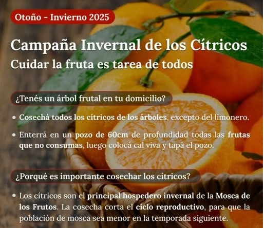 citricos