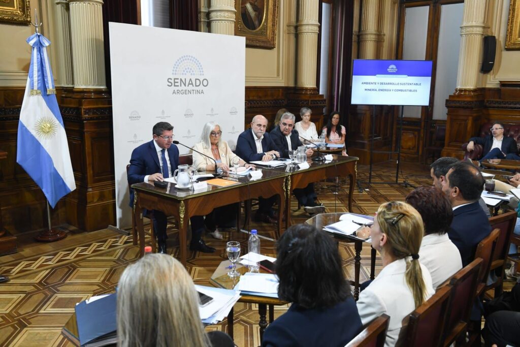 Orrego senado