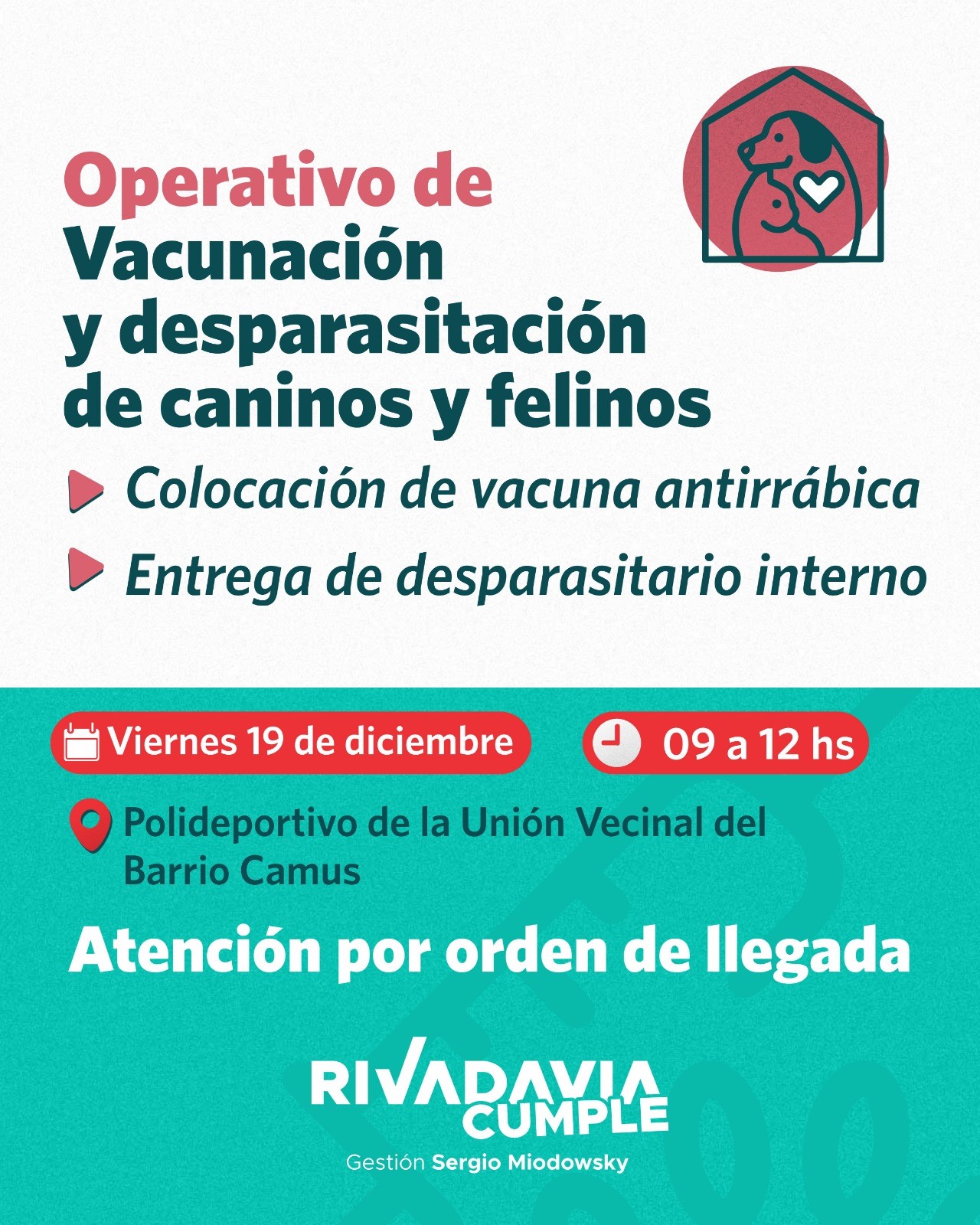 operativo 19
