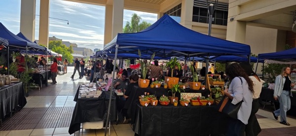 feria centro